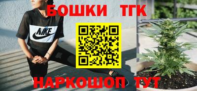 индика Кулебаки